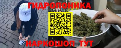 молекула духа Донской