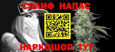 дживик Дубна